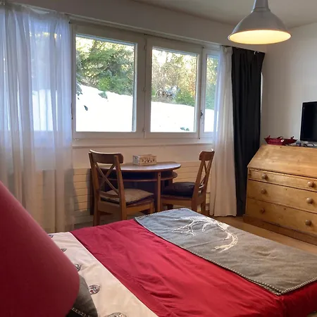 Cosy Studio Crans-Montana